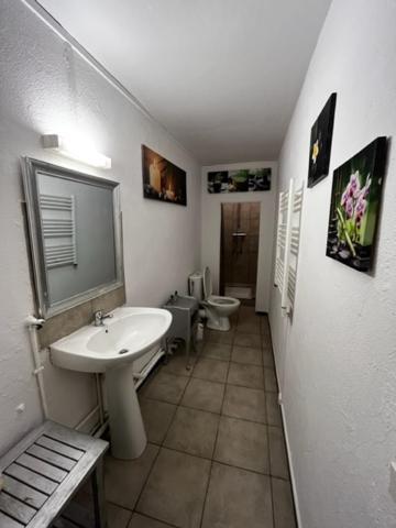 Cosy House T3 City Center, Museum, Place Carnot Carcassonne Buitenkant foto